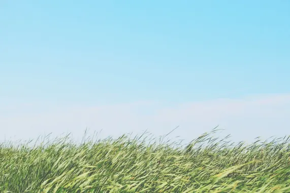 Kasino Ted Bingo Podpora